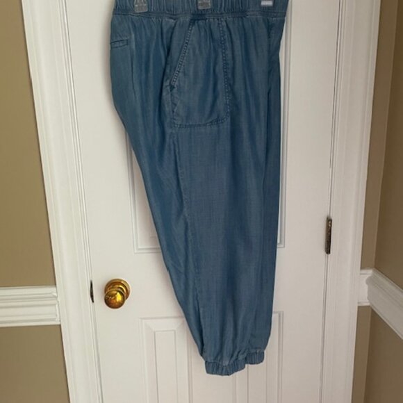 Talbots Summer Weight Joggers Size 1X Petite - Picture 2 of 2